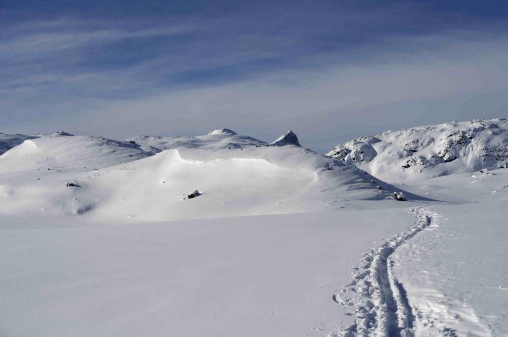 backcountry skiing tracks