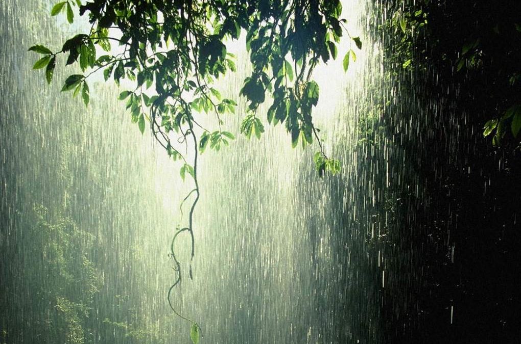 4 Ways Headwinds Build Perseverance | Lessons from Torrential Rain